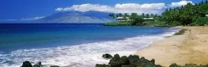 Posterazzi Surf Kapalua Beach Maui Hawaii USA Poster Print, (36 x 12)