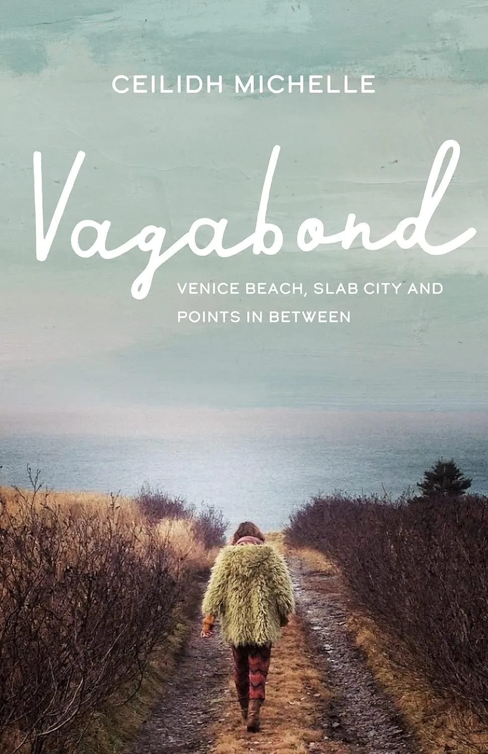 Vagabond: Venice Beach, Slab City and Points In Between Paperback – March 15, 2022